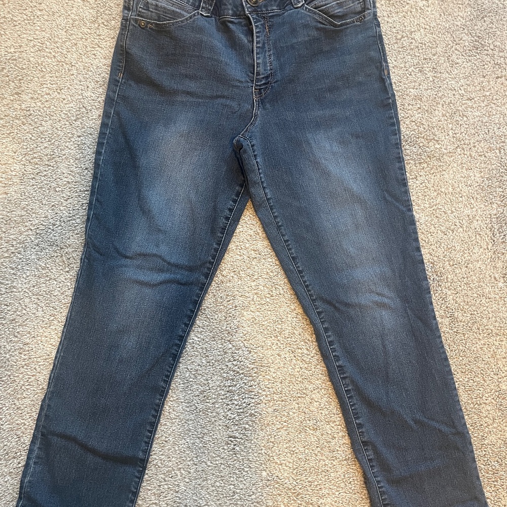 Democracy "Ab"solution Straight Leg Jeans 14P